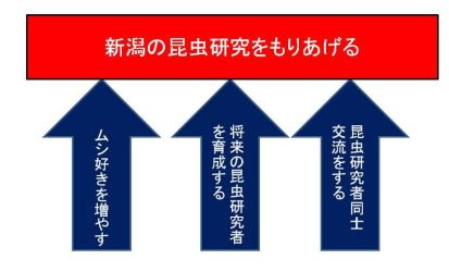 �����͂����l�b�g���[�N�ړI