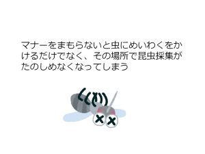 �����̏W�}�i�[