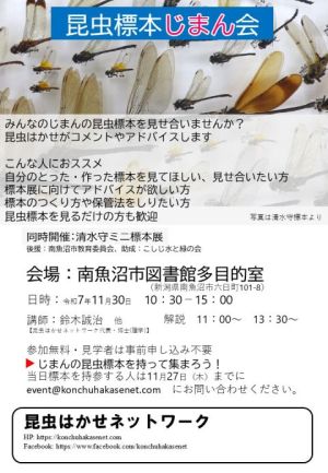 �����W�{���܂��`���V