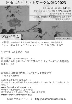 �����͂����l�b�g���[�N�׋���`���V